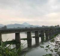 香蕉的价值头像