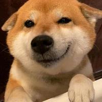6824.w人头像