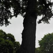 大海503的个人资料头像