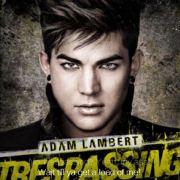 盼着未来的秦歌的个人资料头像