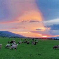 用户5392591509243头像