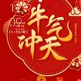 清晨的小鹿头像