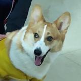 hemetheny头像