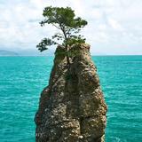 走南，闯北头像