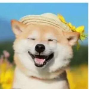 Sunflowers罗罗头像