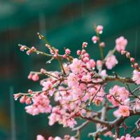 用户6452202084980头像