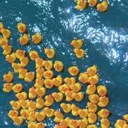 TheSuperLiang的个人资料头像