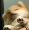 性感java在线摸鱼的个人资料头像