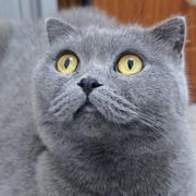 YAmoon的个人资料头像