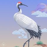独行天下9pkm头像