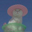 㕨妹酱的个人资料头像