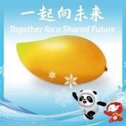 灵活搬运工的个人资料头像