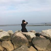 晓了晴头像