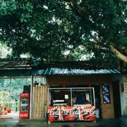 用户69507406823的个人资料头像