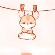 _566的个人资料头像