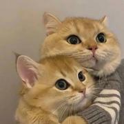 黑到白的个人资料头像