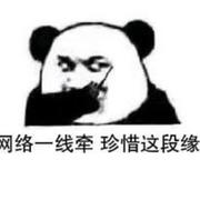 乐游的个人资料头像