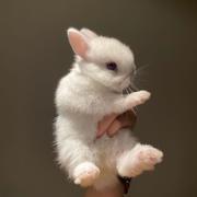 Alix796的个人资料头像