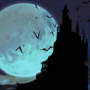 李志博的个人资料头像