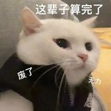 烤闲鱼头像