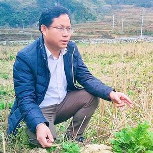 本草心语头像
