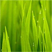 Evan720的个人资料头像