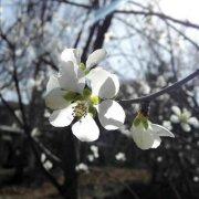 研发老兵的个人资料头像