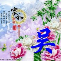 初冬的阳光596头像