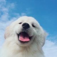 不忘初心47188头像