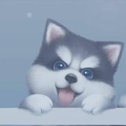 windfall的个人资料头像