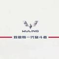 茌平五菱宝骏头像