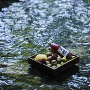 是淼淼呀的个人资料头像