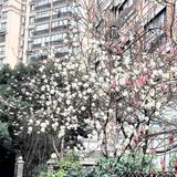 冰波55头像