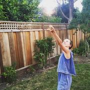 Bamboo的个人资料头像