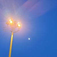 自由饺子g8u头像