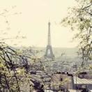 莫忘的个人资料头像