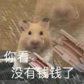 大发发发发滴头像