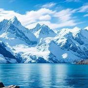 jinxindeep的个人资料头像