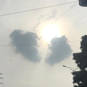 随笔解说头像