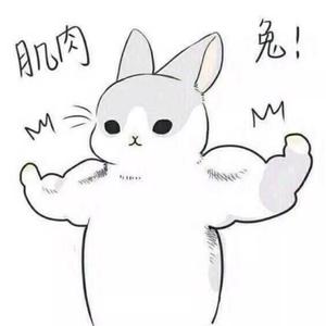 流氓兔VVV头像