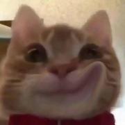 XlX的个人资料头像