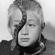 无题者的个人资料头像