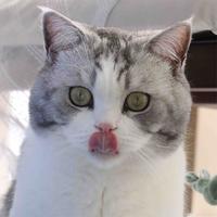 黑择明知故犯头像