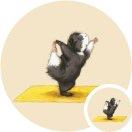 Zonas_Guo的个人资料头像