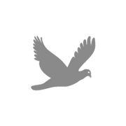 杭州何斌的个人资料头像