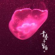 Believe_Yourself_FXJ的个人资料头像