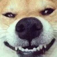 dy一地鸡毛头像