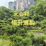 山场主应头像