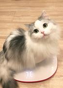 用户5547826882003的个人资料头像