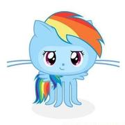 阳推推推的个人资料头像